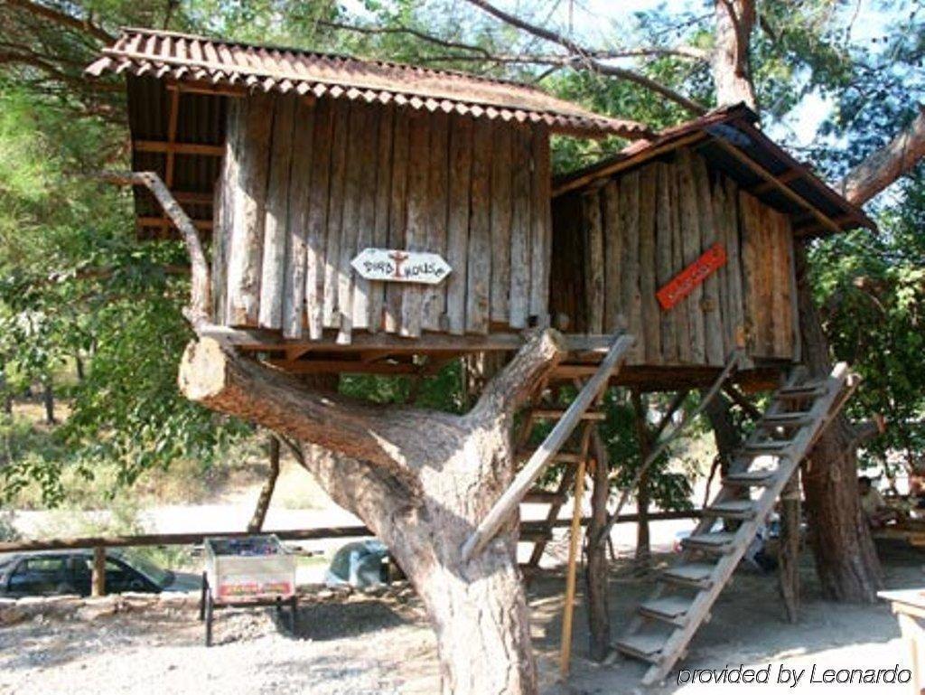 ОТЕЛЬ TURKMEN TREE HOUSES ОЛИМПОС 3* (Турция) - от 1916 RUB | NOCHI